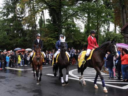 Dożynki Gminne w Drogomyślu 2017